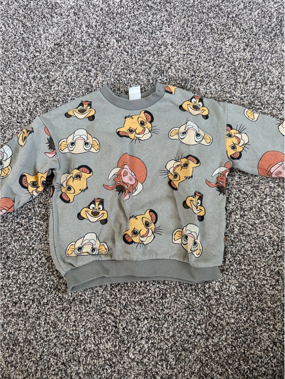 H&M Lion King Themed Toddler Sweatshirt 18Months